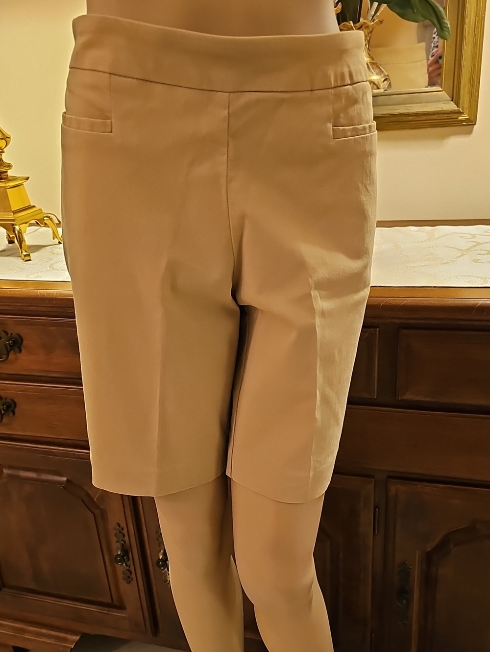 Time and Tru Tan Shorts